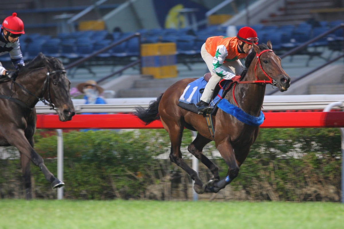 Jockey Olivier Doleuze guides Eagle Regiment over 1,000 metres on the turf at Sha Tin. Photo: Kenneth Chan