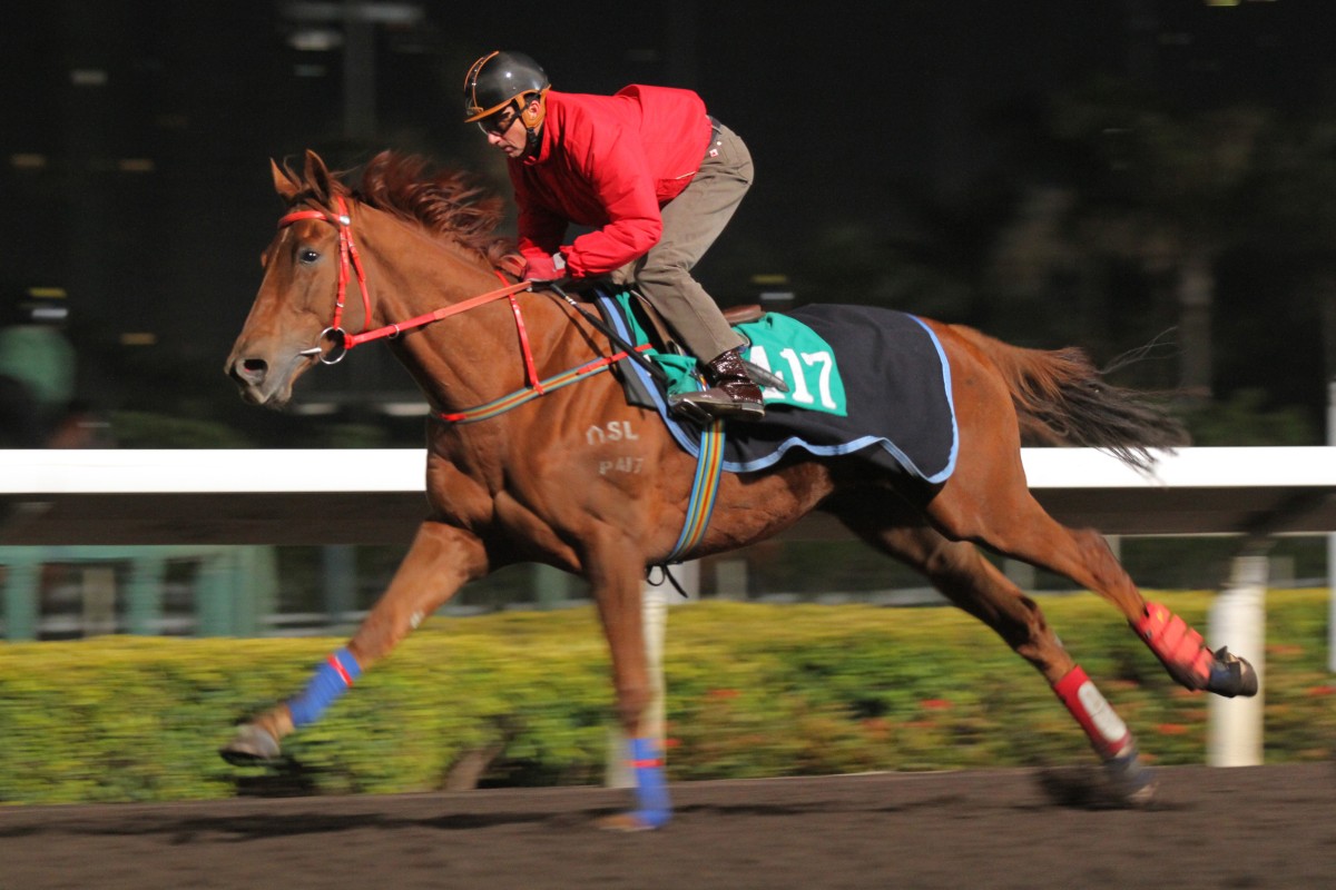 Lucky Hammer can get into the winner's circle soon after a luckless effort at Happy Valley on Wednesday. Photos: Kenneth Chan