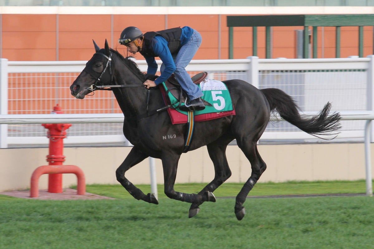 Joao Moreira guides Dominant at Meydan shortly after arriving in Dubai. Photo: Kenneth Chan