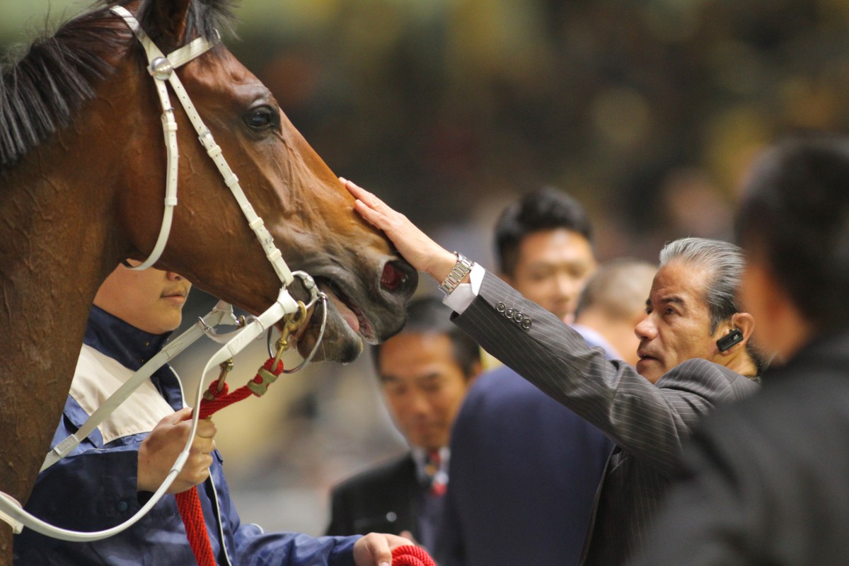 Tony Cruz with his hope Smart Ball for race five at Sha Tin on Sunday, who won over 1,650m in Happy Valley. Photo: Kenneth Chan