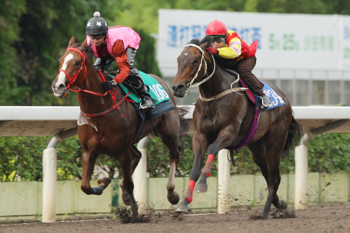 Trump defeats Zaidan in a barrier trial at Sha Tin on Tuesday. Photo: Kenneth Chan