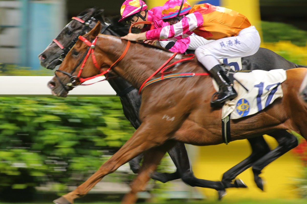 You Are The One (inside, Joao Moreira) and All Times Lucky (Tommy Berry) hit the line together to finish in a dead-heat. Photo: Kenneth Chan
