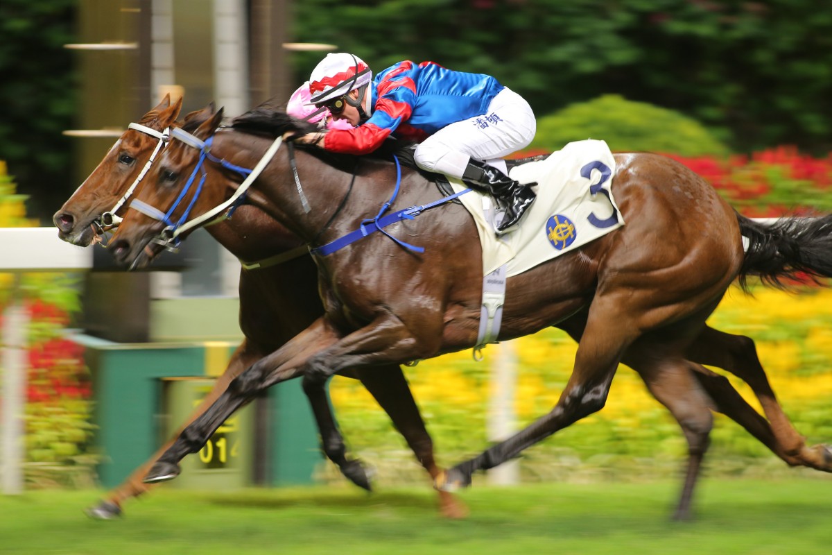 Gun Pit (Zac Purton) on the outside is just out-bobbed by Beauty King (Douglas Whyte). Photo: Kenneth Chan