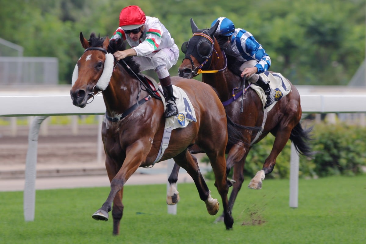 Berlinski, ridden by Hugh Bowman, won the Class Three over 1,200m at Sha Tin on May 17, but has been disqualified. Photo: Kenneth Chan