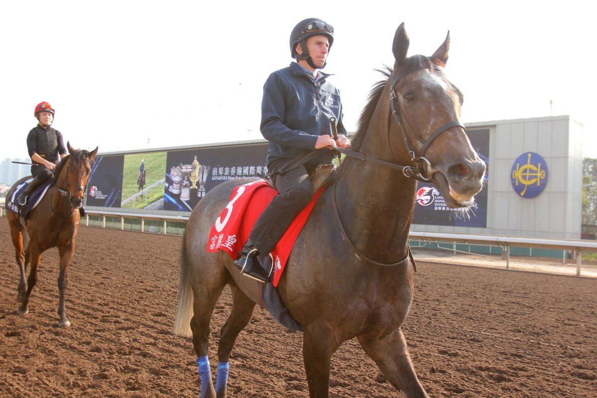  Ryan Moore is considered the world's best by the UK Racing Post but would be uncompetitive in championship terms if he were based in Hong Kong.  Photos: Kenneth Chan