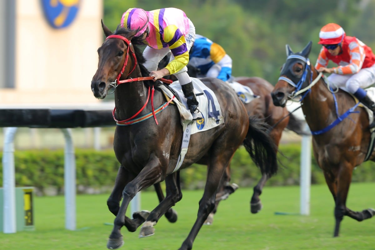 Brilliant Shine had a perfect run in transit and proved strong enough to get the better of Marvel Tribe. 