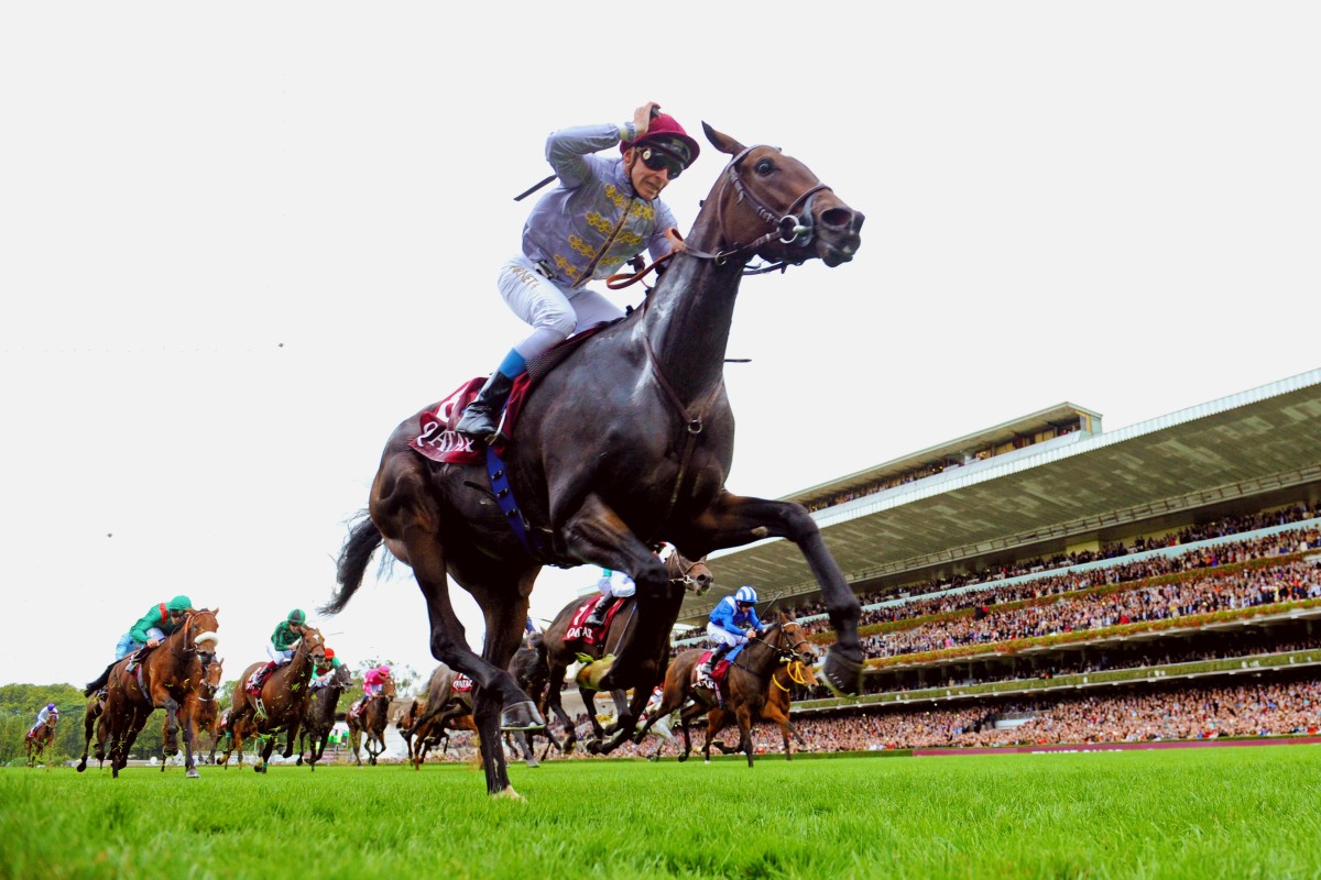 Treve (Thierry Jarnet) bursts clear to win the Qatar Prix de l'Arc de Triomphe at Longchamp. Photo: AP