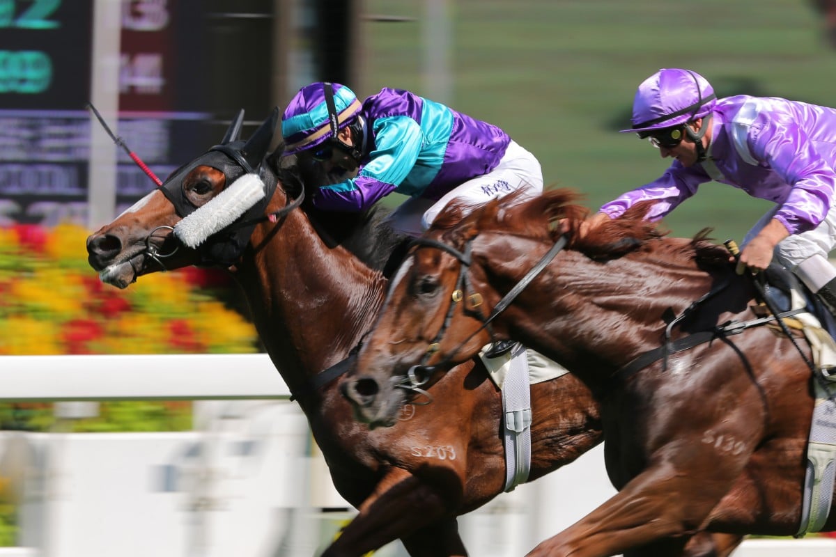 Star Track just fails to run down Brilliant Dream at his sole start last season. Photo: Kenneth Chan