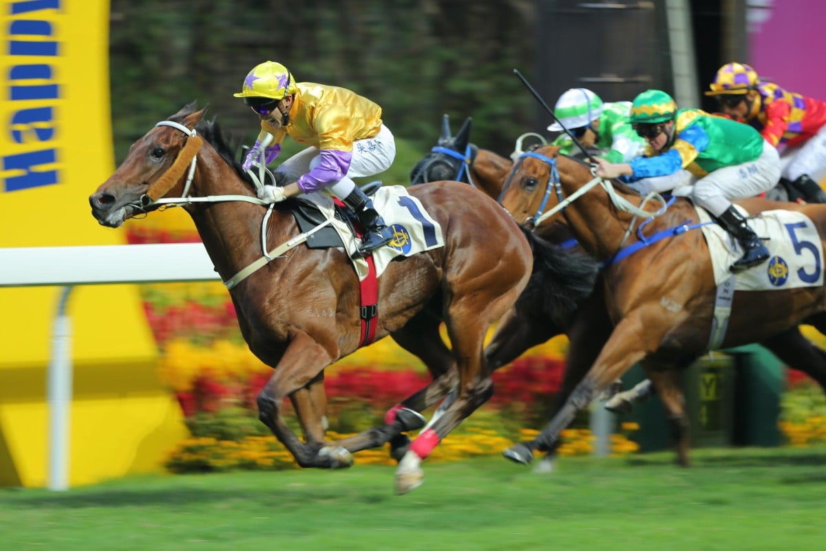 Alvin Ng uses his five-pound claim to maximum effect as he drives Peniaphobia home to win over 1,200m at Happy Valley yesterday. Photos: Kenneth Chan