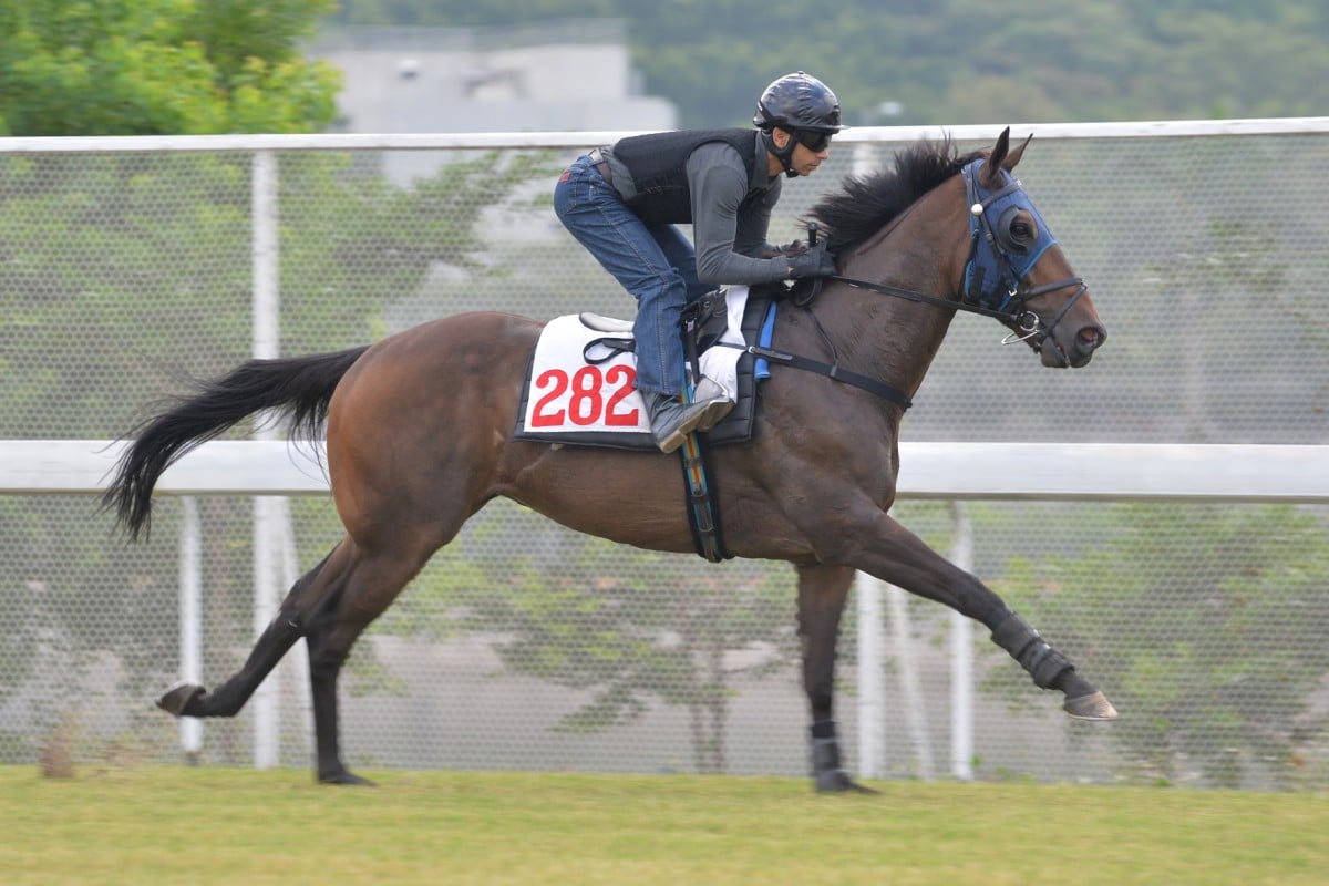 Invictus can return to the winner's circle at Happy Valley on Wednesday night. Photo: Kenneth Chan