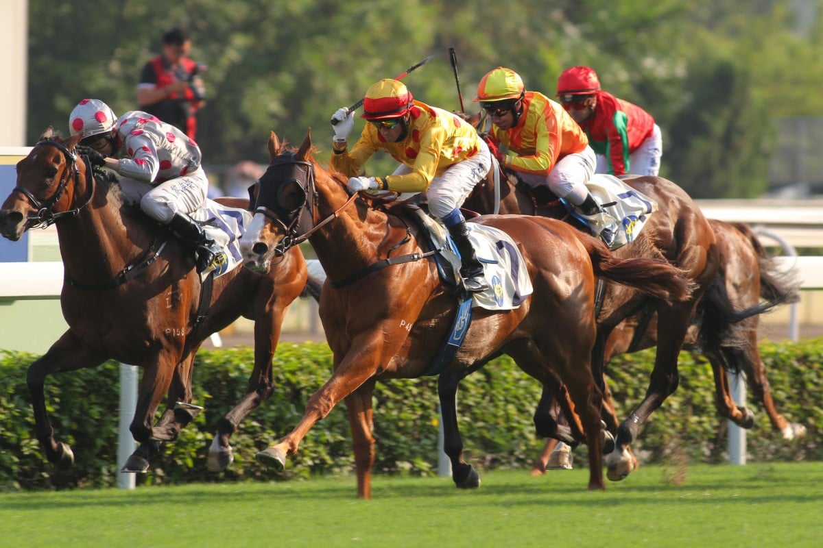 Gold-Fun races past Super Lifeline to win the Celebration Cup earlier this month. He meets many of his rivals from that race worse at the weights today. Photos: Kenneth Chan