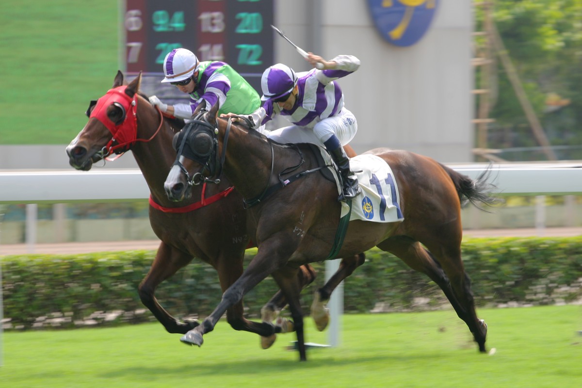 Joao Moreira cracks the whip on Goldweaver on his way to a Class Five victory. Photos: Kenneth Chan 