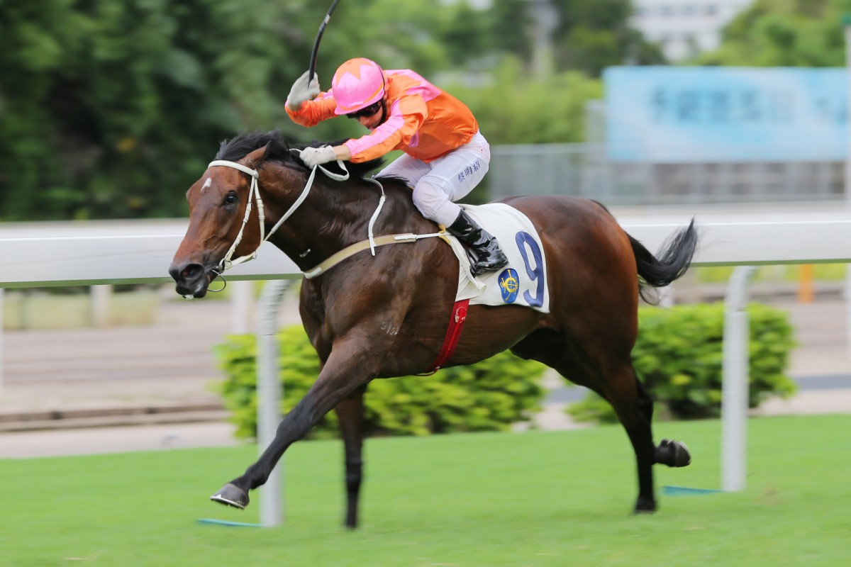 Helene Super Star wins in June. Cruz believes he is "definitely a Group horse and he could even win a Group One". Photo: Kenneth Chan