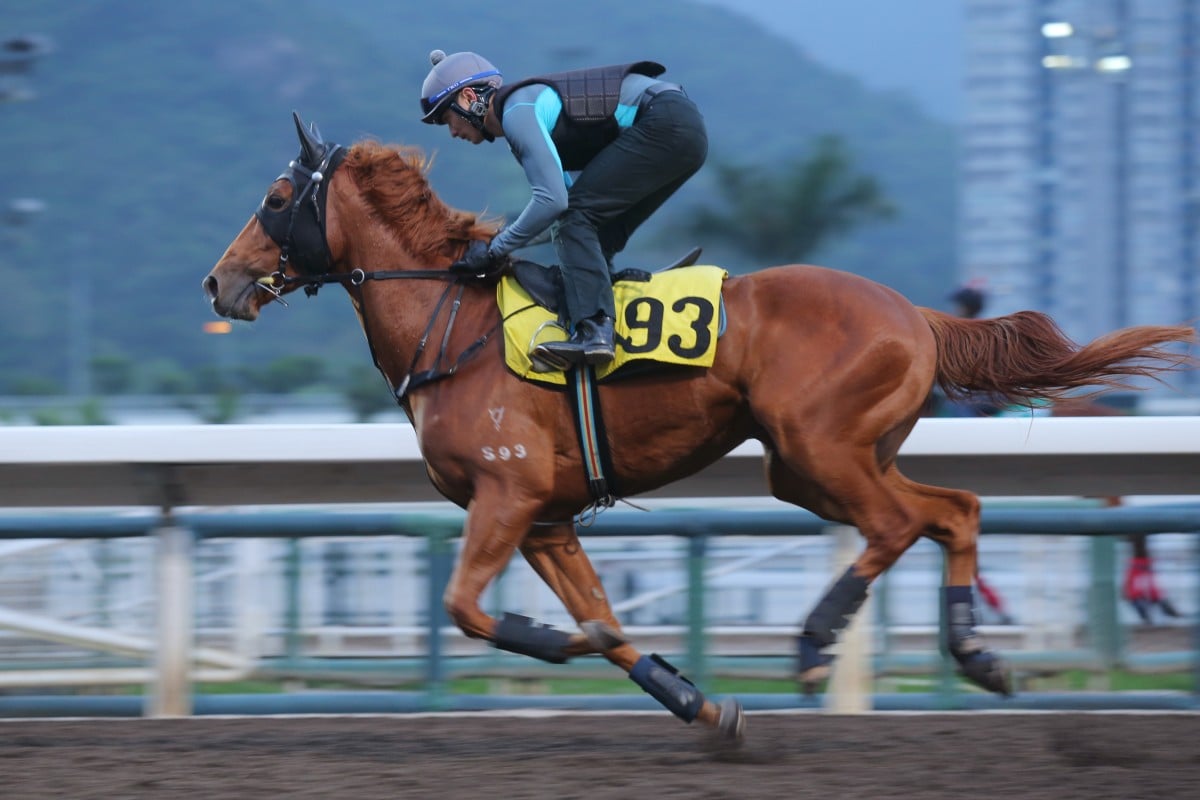 Star Majestic can break through under Joao Moreira in the final leg of the Triple Trio. Photo: Kenneth Chan