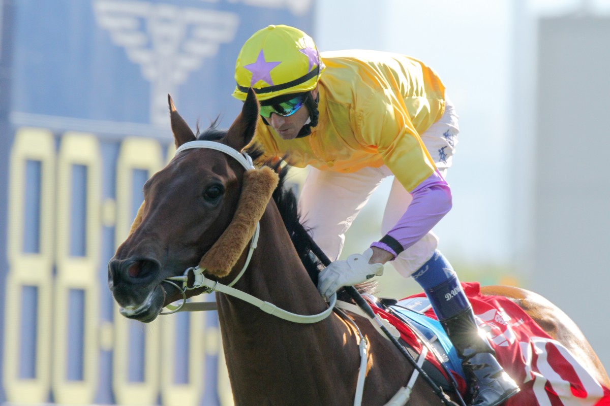 Peniaphobia sat wide the whole way but still was strong to the line. 