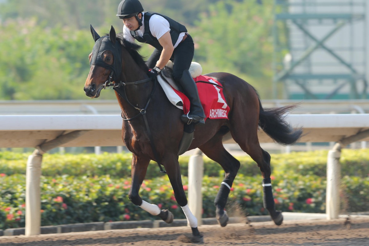 Archimedes is coming off a nine-month break but looks fit and well and can cause an upset. Photo: Kenneth Chan