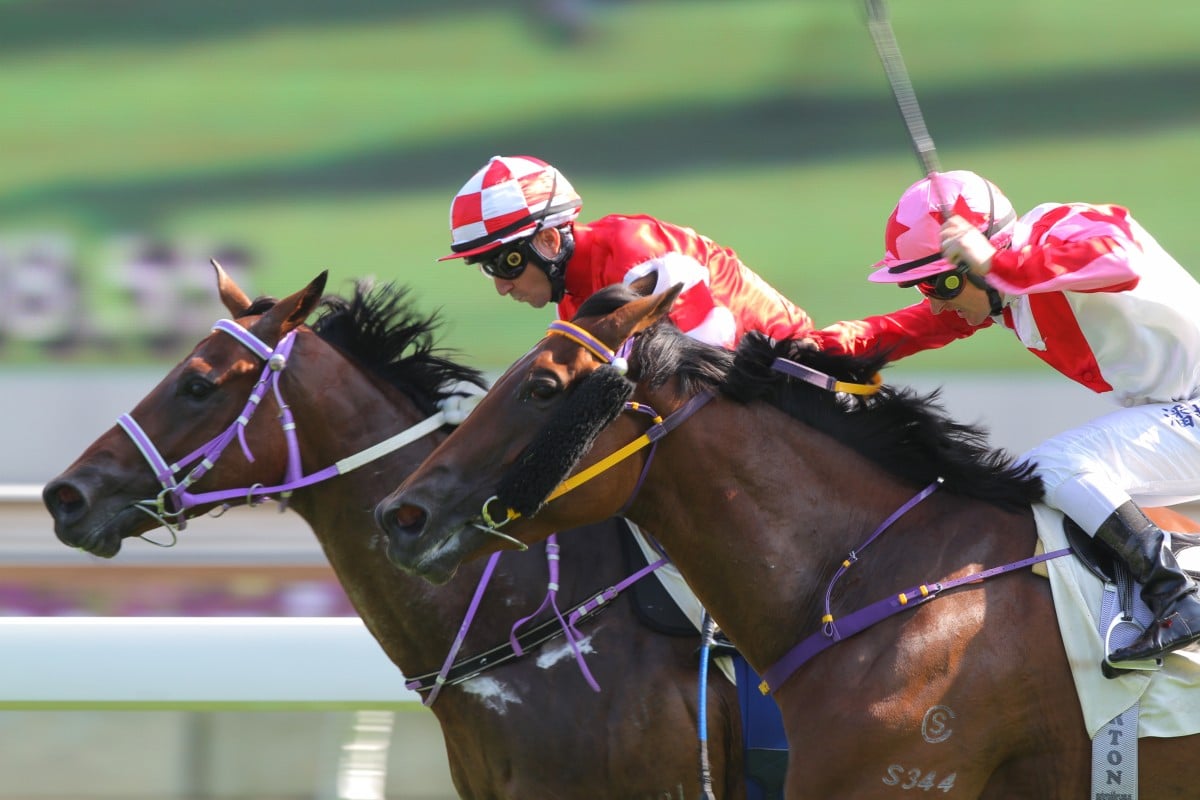 Super Talent (right) just fails to reel in Forever Accurate two starts back. The new year can bring a change of fortunes for Benno Yung's galloper. Photo: Kenneth Chan