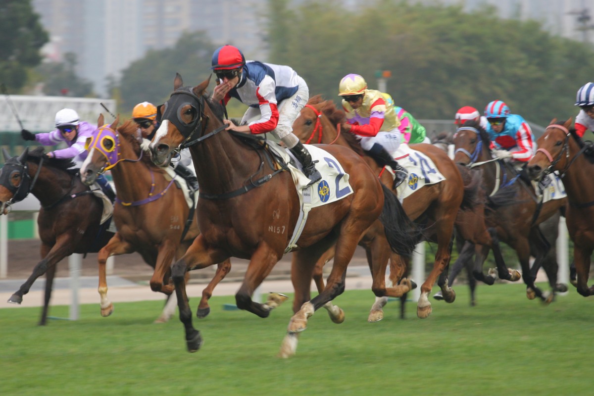 Racing Hero (Zac Purton) wins the Luk Wu Handicap at Sha Tin on Sunday, but most of the attention revolved around Dicky Lui, who set suicidal sectionals on  Numero Uno (gold cap). Photo: Kenneth Chan