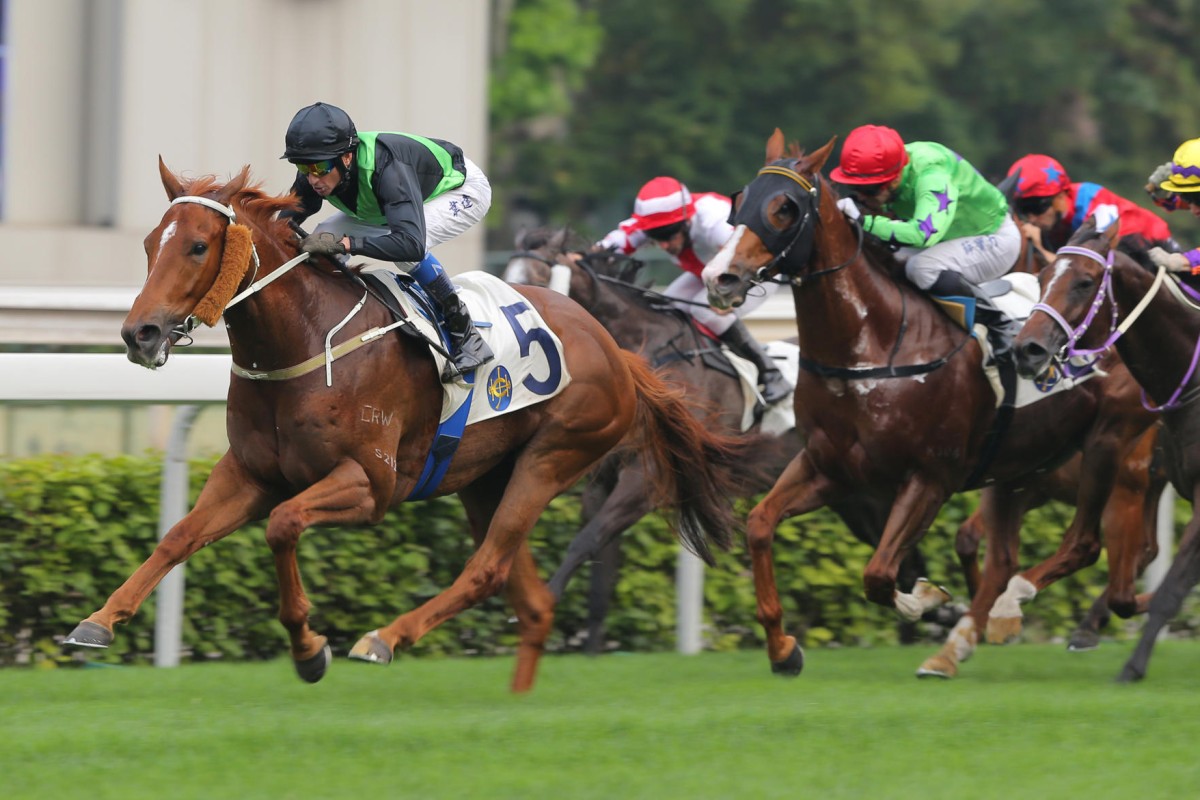 Key Witness wins at Sha Tin in late April. It was his last victory, with a combination of factors ensuring he has not seen the winner's circle in seven starts since. Photos: Kenneth Chan