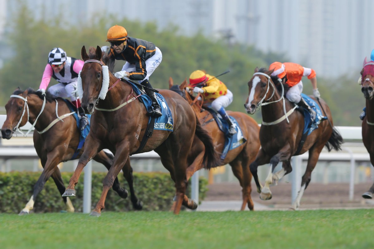 Joao Moreira coasts to the line aboard superstar galloper Able Friend as the giant gelding dashes past his rivals in the Stewards' Cup at Sha Tin. Photos: Kenneth Chan