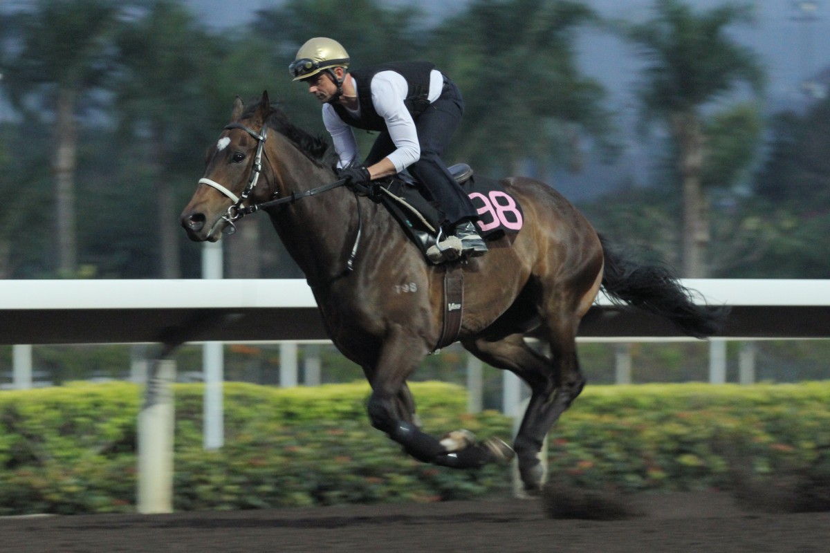 Travel First looks a coming winner. Photo: Kenneth Chan