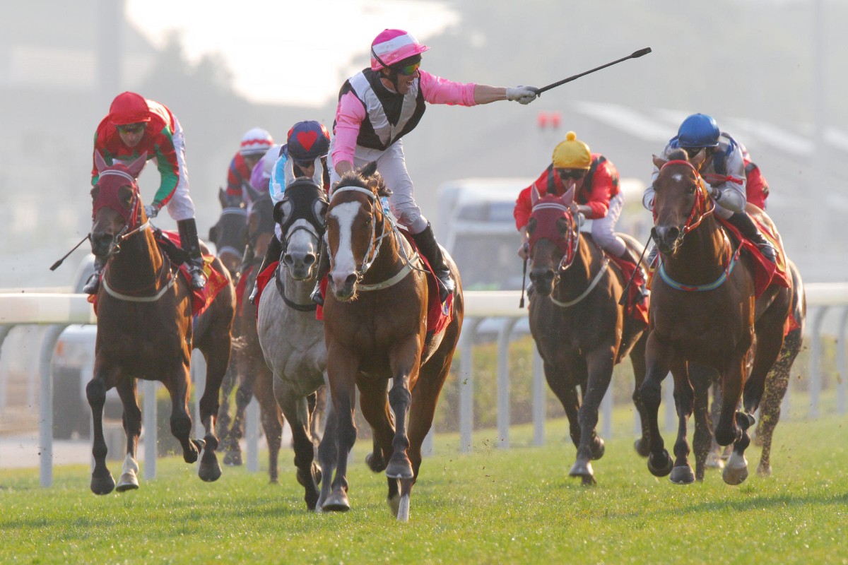 Neil Callan celebrates after Beauty Only returns to form to win the Classic Mile last start. He meets a number of horses from different formlines today as he steps up to 1,800m. Photos: Kenneth Chan