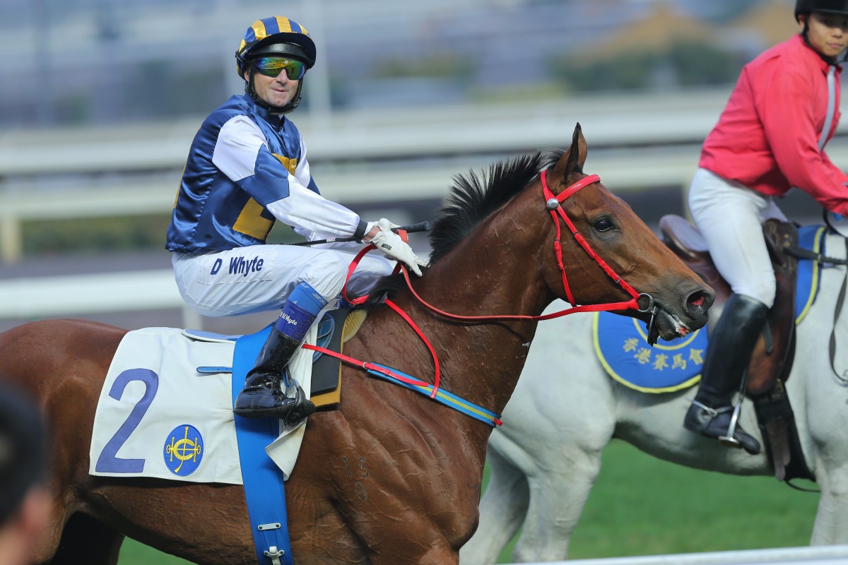 Luger's dominant win on Sunday has given Douglas Whyte a headache ahead of the Hong Kong Derby. Photo: Kenneth Chan