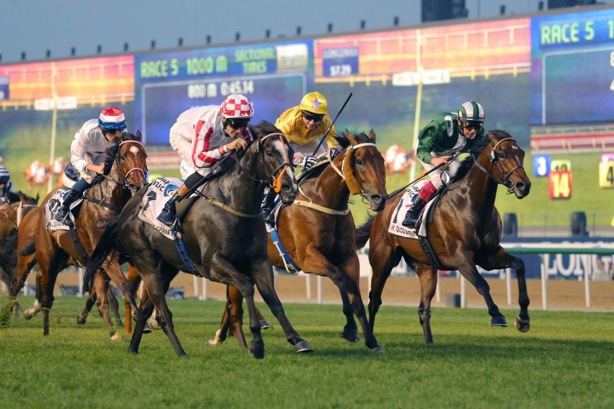 England-based Irish jockey Richard Hughes and Sole Power (second left) win the Al Quoz Sprint at Meydan, with Douglas Whyte and Peniaphobia placing second and American galloper Green Mask (along the rails) in third. Amber Sky managed to place fourth (far left). Photos: Kenneth Chan