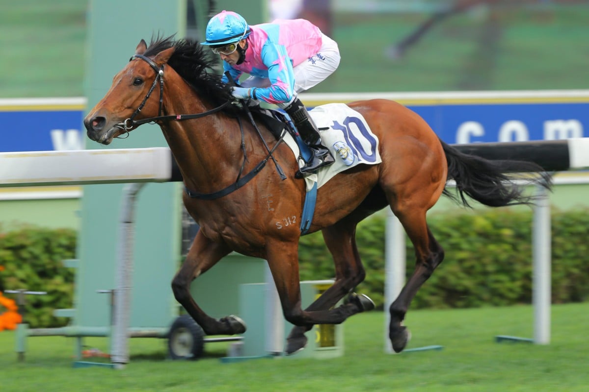 Douglas Whyte steers Apollo's Choice to victory in the last event yesterday, bringing up his fourth win of the day aboard David Hall's galloper. Photos: Kenneth Chan