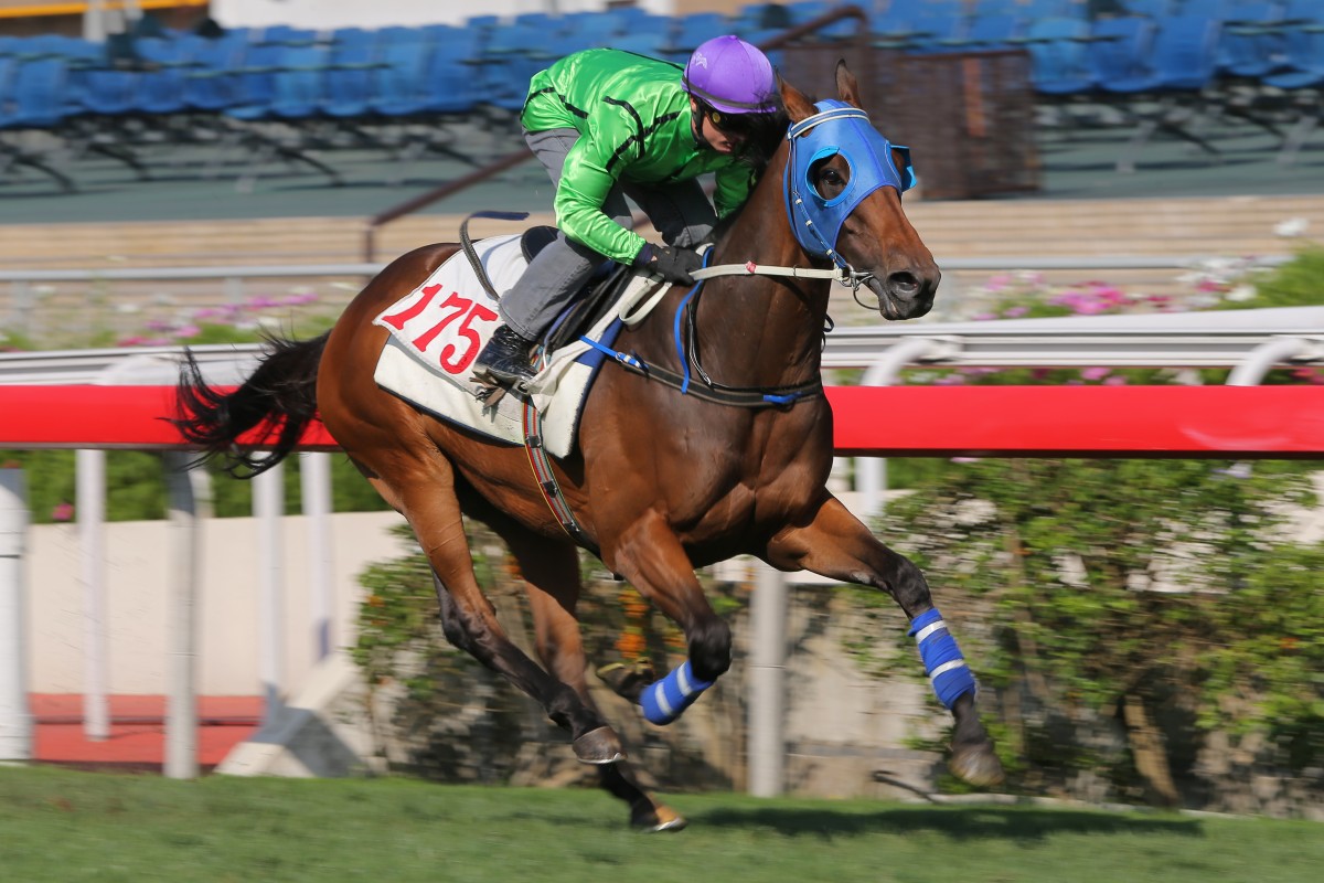 Military Attack cruises to the line to win a barrier trial at Sha Tin on Tuesday. Photos: Kenneth Chan