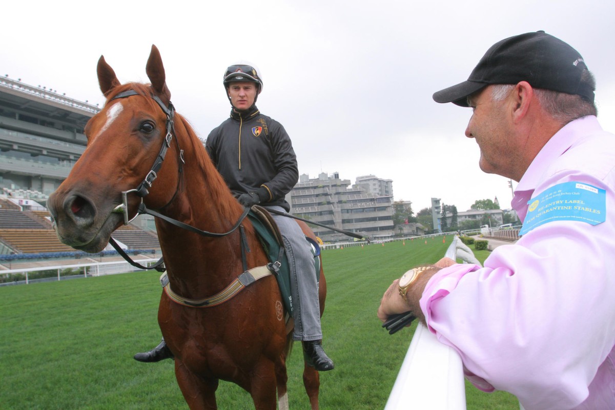 Jockey Zac Purton and trainer David Hayes with Criterion after the horse was put through a gallop at Sha Tin yesterday. Photos: Kenneth Chan