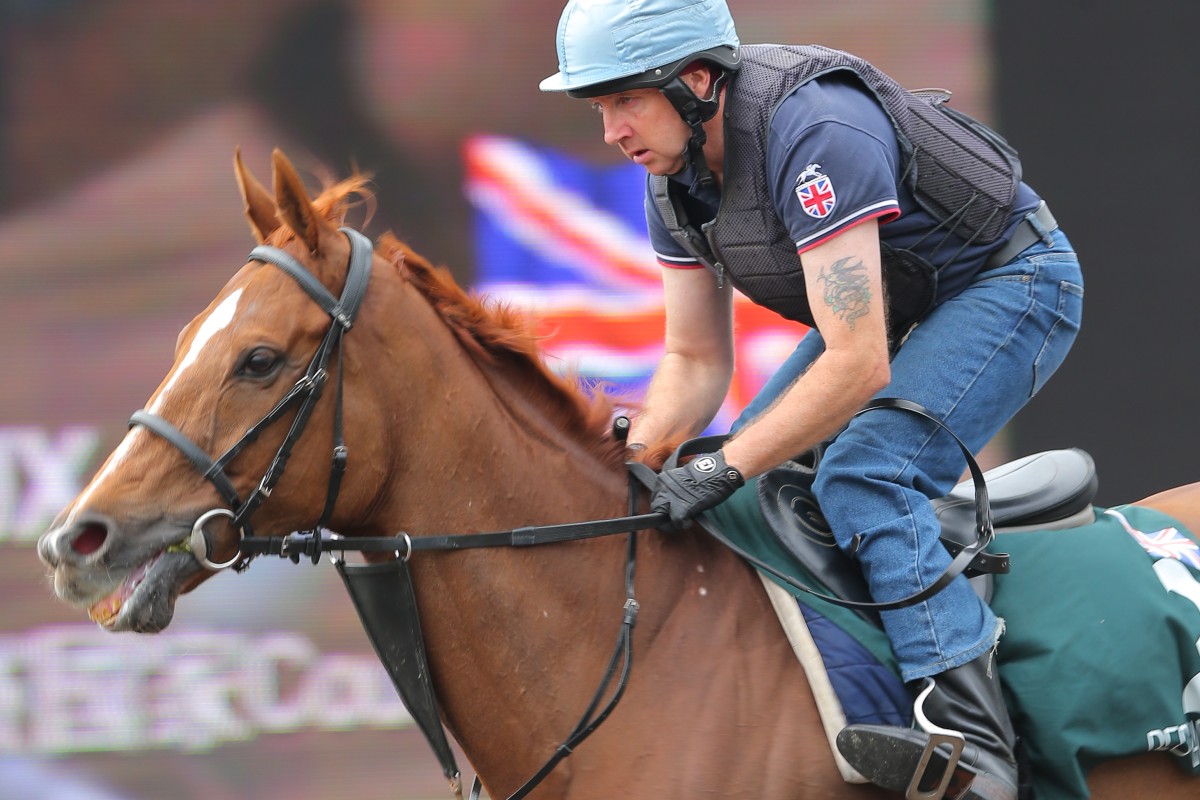 Red Cadeaux has a light workout ahead of Sunday's race. Photos: Kenneth Chan   