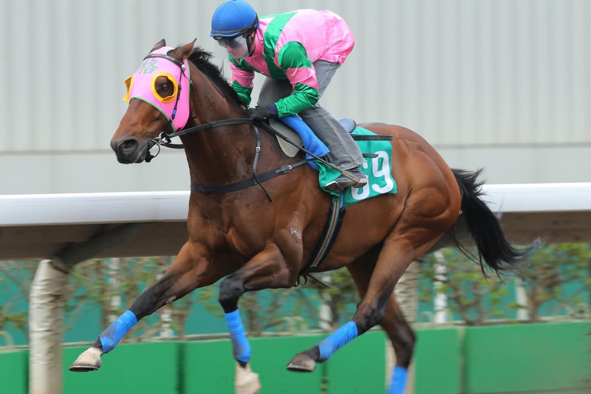 Aerovelocity, with Zac Purton aboard, winning a 1,200m dirt trial easily on Tuesday. Photos: Kenneth Chan