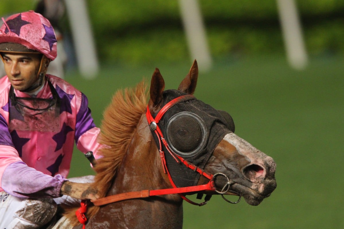 Joao Moreira will combine again with Silly Buddies in the opening leg of the Triple Trio. Photo: Kenneth Chan