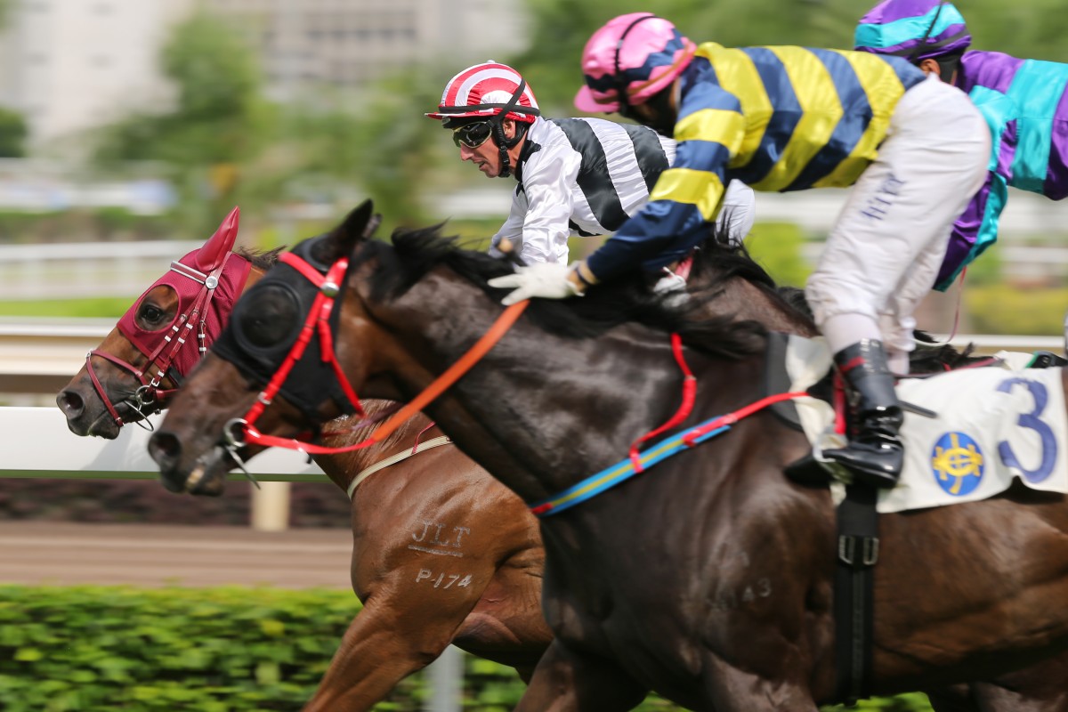 Secret Sham (Nash Rawiller) was John Moore's third winner in the Premier Cup. 