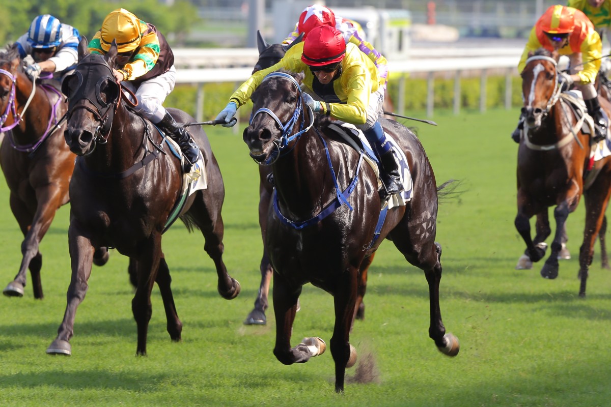 Douglas Whyte gets to work on Chater Rock as the Durban Demon completes his double at Sha Tin. Photos: Kenneth Chan 