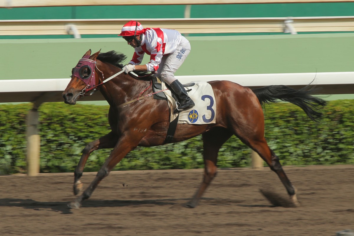 Verdane (Neil Callan) became just the sixth horse to win five races this season, something that would have seemed impossible at the start of the term.