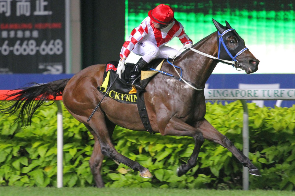 Veteran sprinter Lucky Nine could make his reappearance in the HKSAR Chief Executive's Cup on September 6. Photos: Kenneth Chan