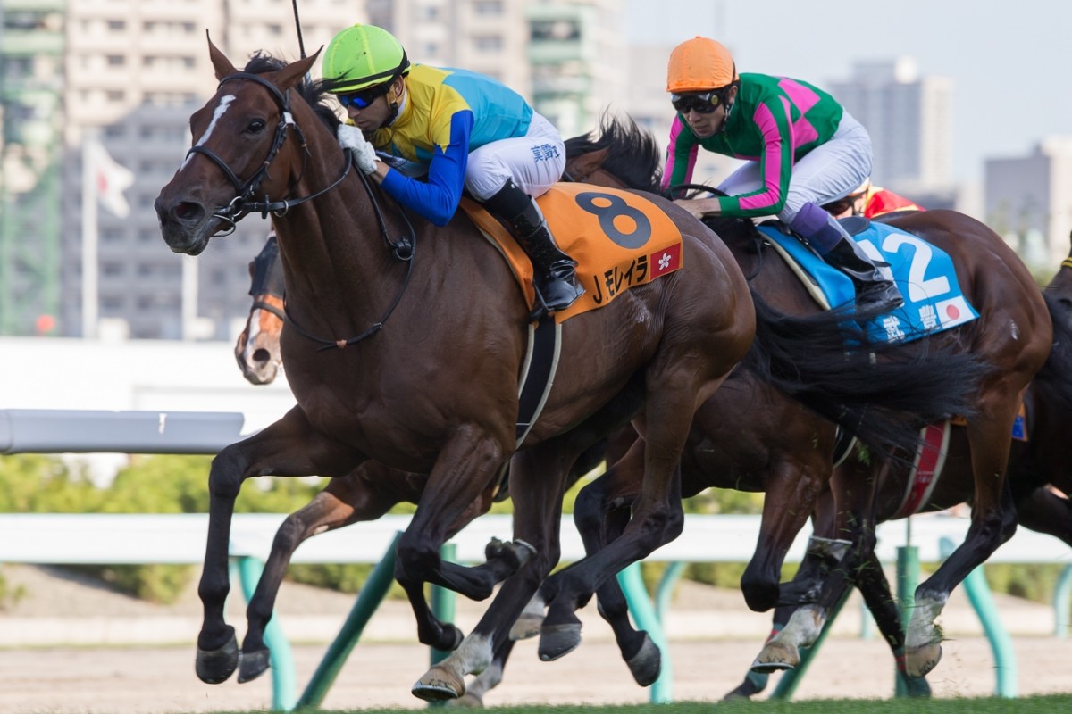 Joao Moreira partners Jungle Cruise (No 8) to victory in the second leg of the World All-Star Jockeys series at Sapporo Racecourse. Photos: SCMP Pictures 
                        