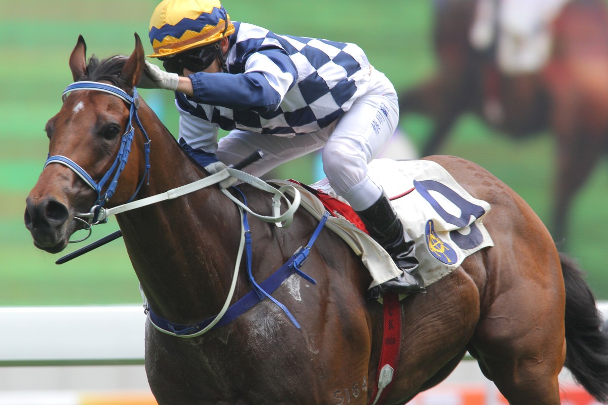 Matthew Chadwick and I'm In Charge win the HKSAR Chief Executive's Cup at Sha Tin on September 6. Photos: Kenneth Chan