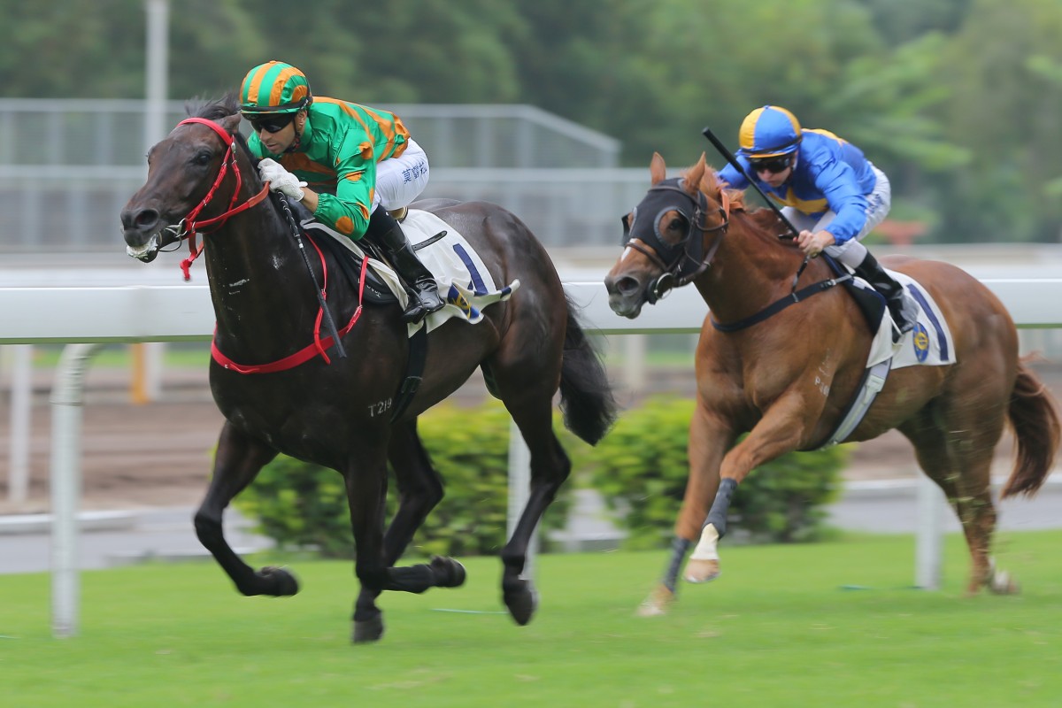 Circuit Land puts a handy field to the sword, the four-year-old stamping himself as a future Class One horse in the making. Photo: Kenneth Chan