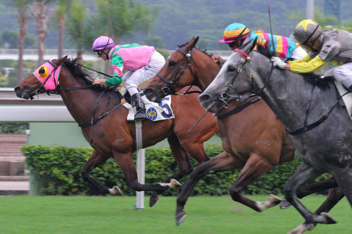 Aerovelocity (Zac Purton) wins the Premier Bowl last year from Super Jockey and Smart Volatility. He only rises two pounds for this year's race despite a breakout season last term. Photo: Kenneth Chan