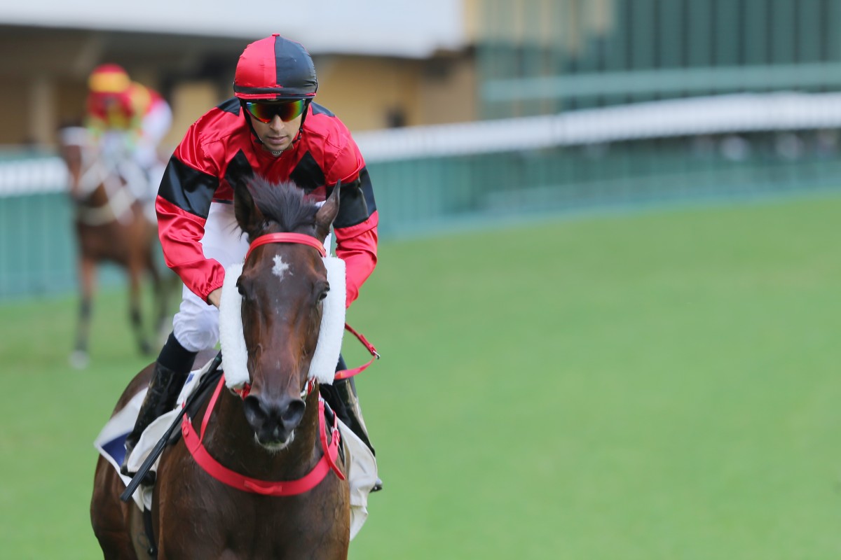 General Iron was heavily supported and got the job done under Joao Moreira, giving trainer Danny Shum the first leg of a double at Happy Valley. Photo: Kenneth Chan