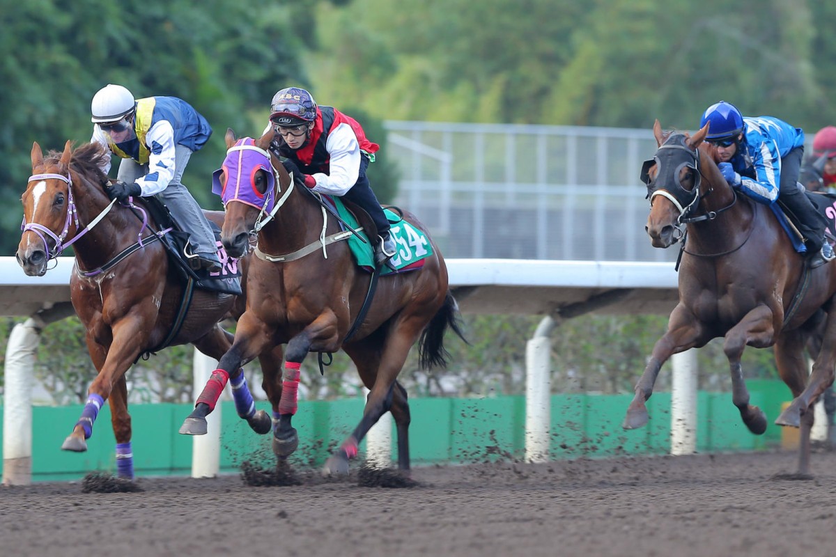 Redkirk Warrior (Zac Purton) and Multivictory (Alvin Ng) race away in a dirt trial at Sha Tin on Tuesday. Photo: Kenneth Chan