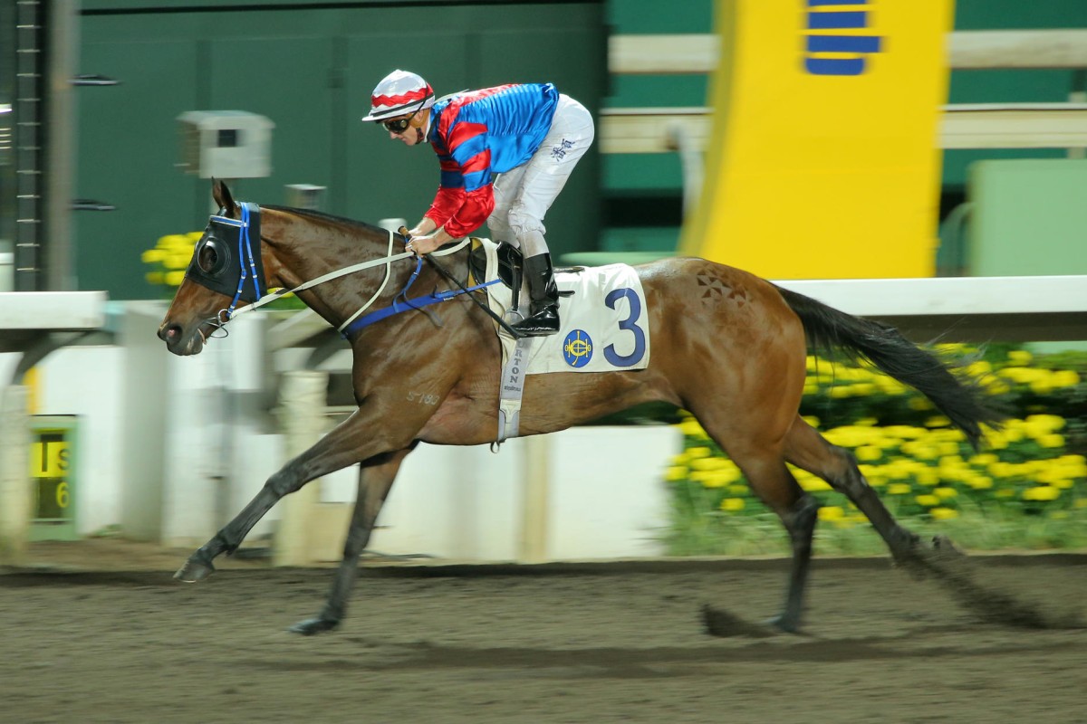 Zac Purton stands up as Gun Pit records an effortless win on Wednesday night. He will now target the Champions Cup in Japan. Photos: Kenneth Chan