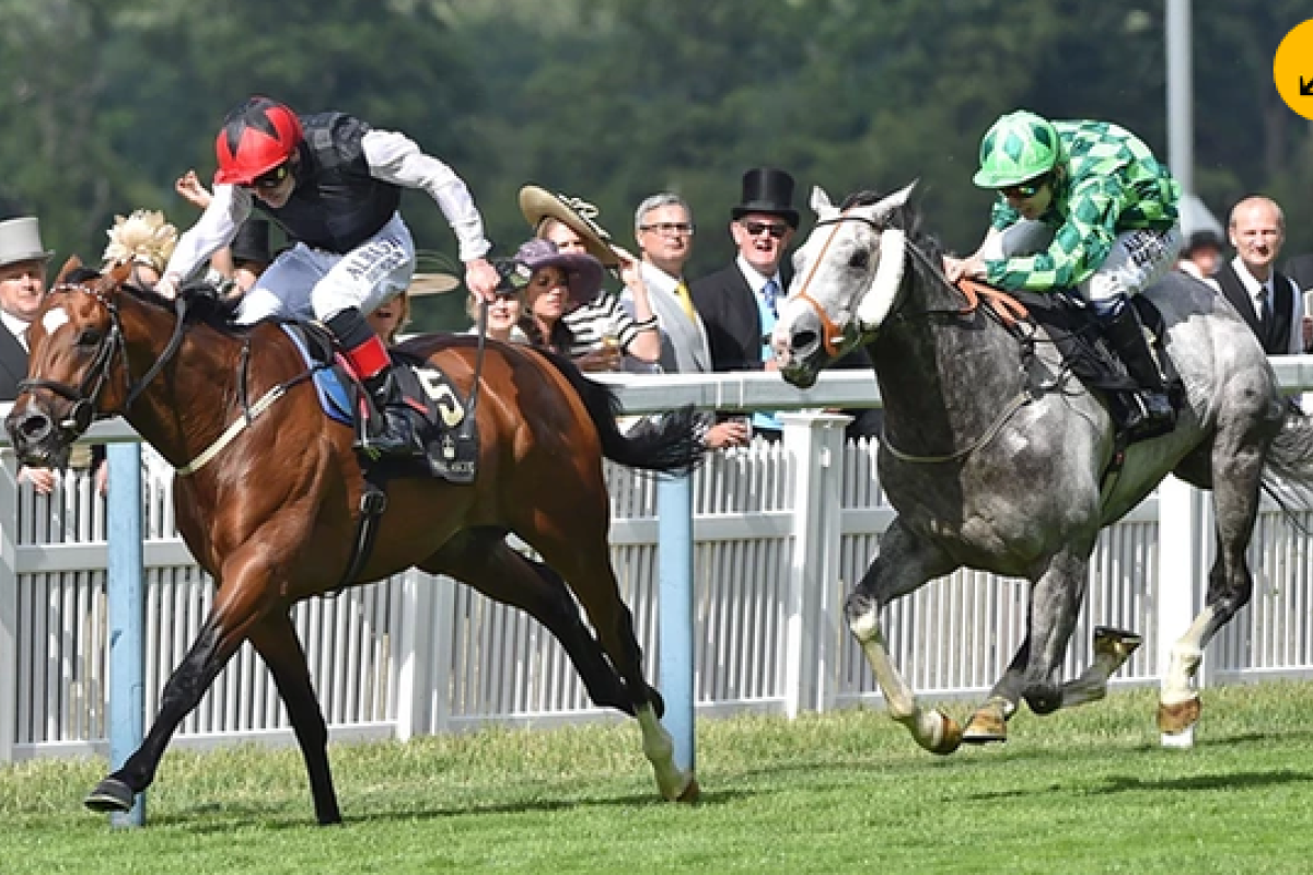 Free Eagle beats The Grey Gatsby to win the Prince Of Wales's Stakes at Royal Ascot earlier this year. Photo: AFP
