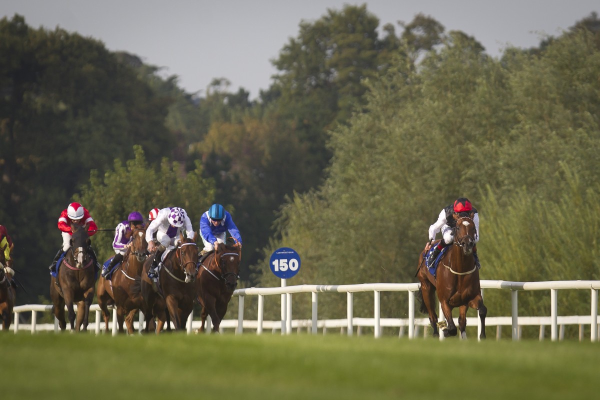 Free Eagle heads the international contenders for this year's Hong Kong Cup. Photo: Racing Post Photos