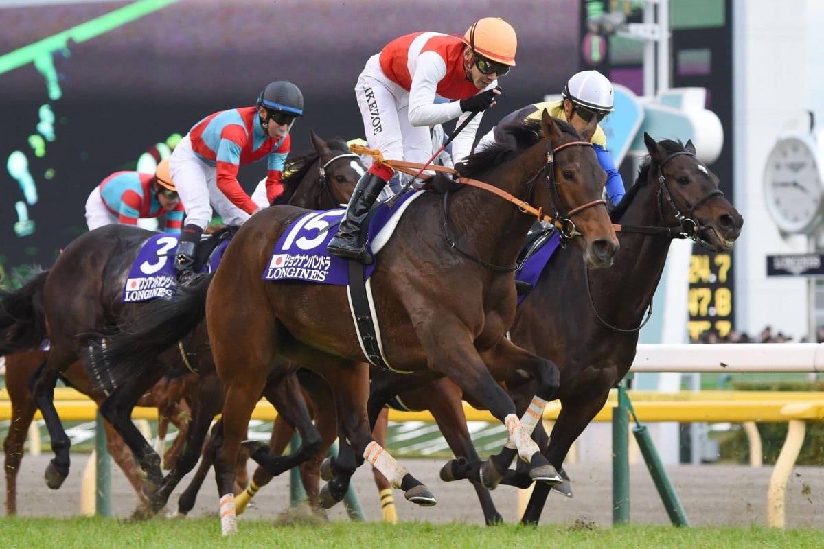 Kenichi Ikezoe celebrates after Shonan Pandora gets up in the last stride to win the Japan Cup. Photo: AFP
