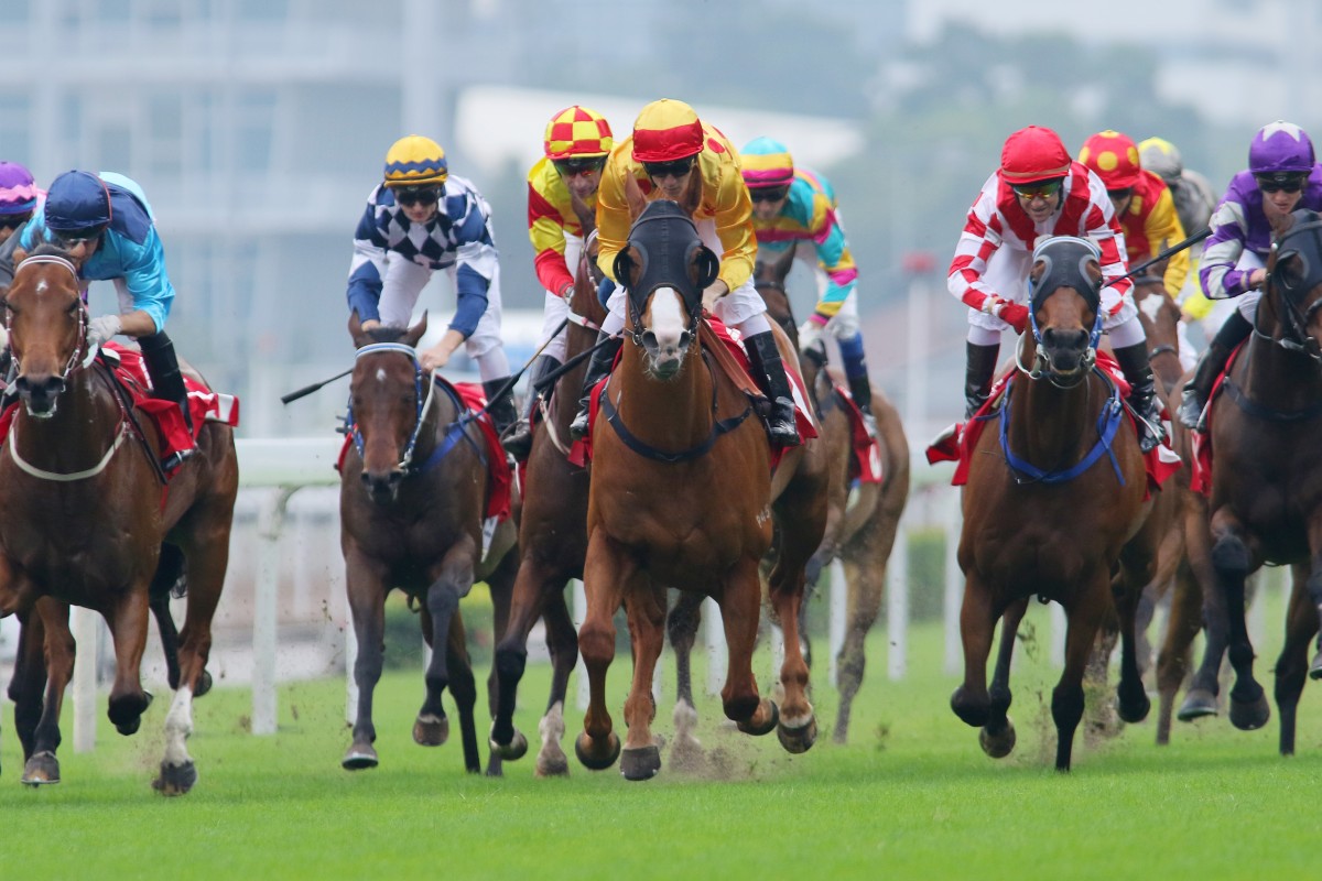 The local contenders for the Hong Kong Sprint look pretty even after the Jockey Club Sprint. Photo: Kenneth Chan