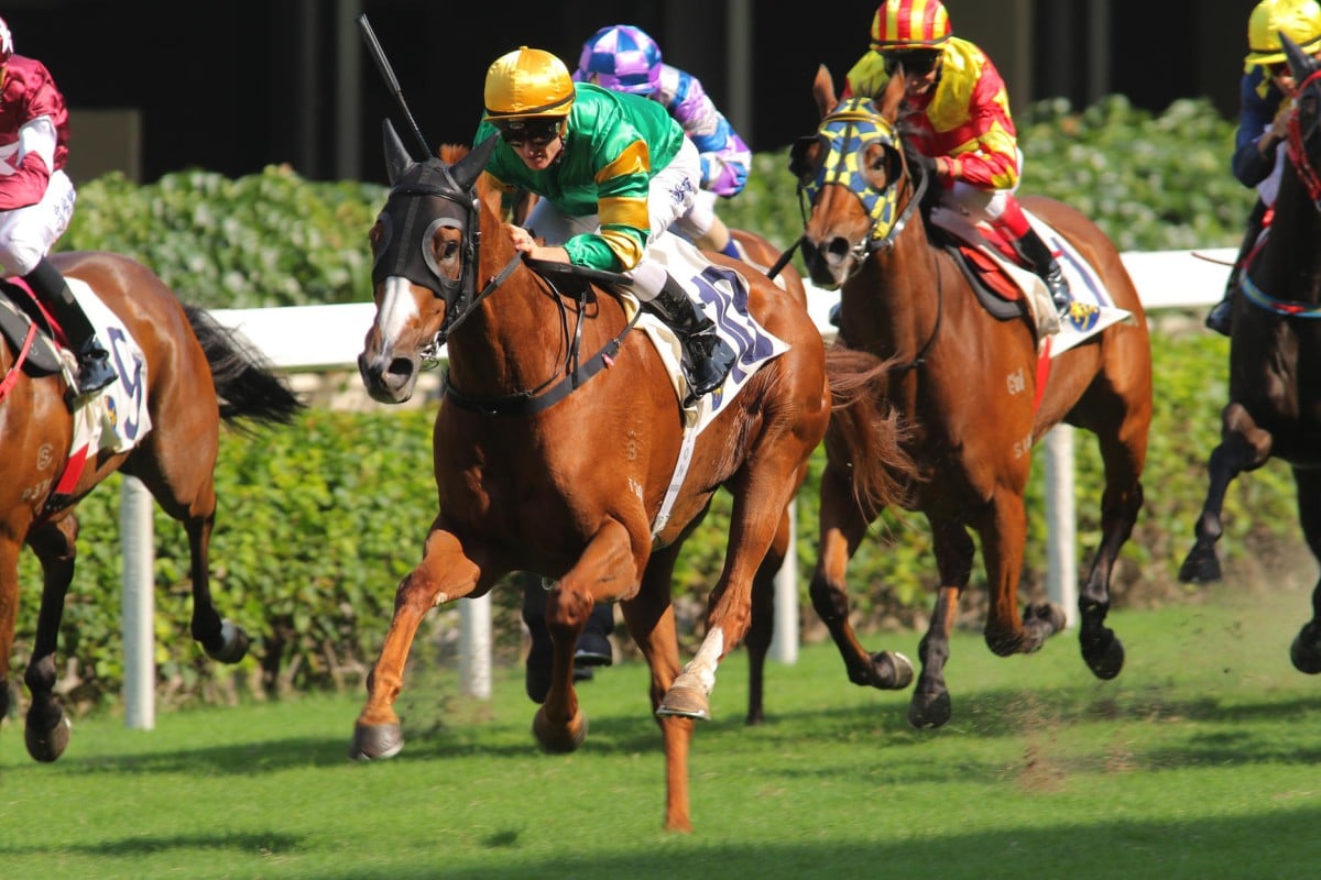 Craig's Fortune wins at the Happy Valley day meeting in November as a heavily supported favourite. Photo: Kenneth Chan